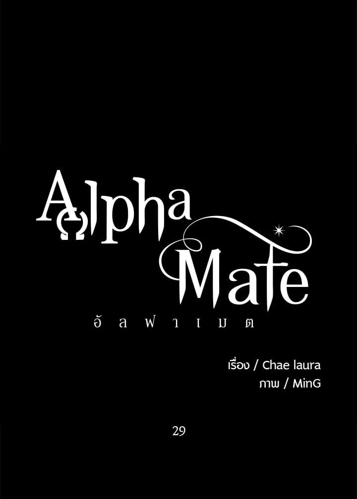 Alpha Mate 29 009